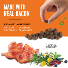 Load image into Gallery viewer, Pet Botanics Training Rewards Treats for Dogs, Made with Real Pork Liver, Focuses, Motivates, Rewards, Speeds Up Learning Curve, No BHA, BHT, Ethoxyquin, Bacon, 20 oz (1 pack)