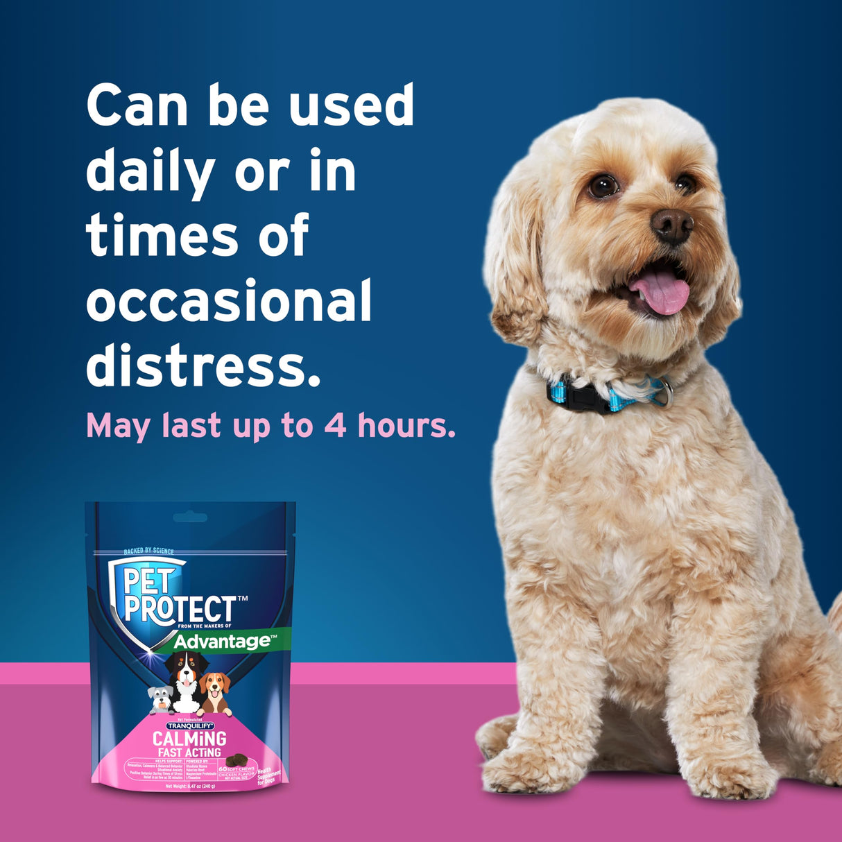 Pet Protect Fast-Acting Calming Supplement for Dogs, Vet-Formulated Tranquilify, Chicken-Flavored Soft Chews (60 Count)