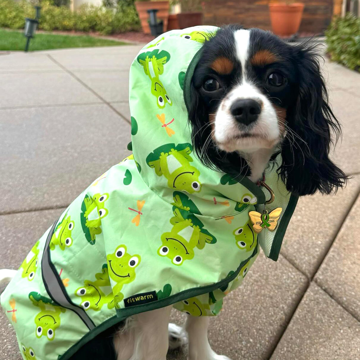 Fitwarm Funny Frog Dog Raincoat with Hood, Waterproof Rain Jacket for Small Dogs Boy Girl, Reflective Pet Poncho with Harness Hole, Packable, Adjustable, Green, XXL