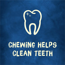 Load image into Gallery viewer, Purina Busy With Beggin' Dog Treats, Twist'd - 10 Count (Pack of 1)