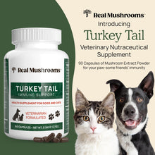 Load image into Gallery viewer, Real Mushrooms Turkey Tail Capsules for Pets –Cat Probiotics & Dog Vitamins – Organic Mushroom Supplement for Dogs & Cats – Supports Daily Balance & Well-Being Non-GMO, 90 ct