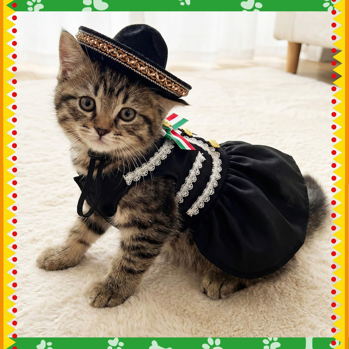 Bulyoou Mariachi Mexican Costume for Dog Mexican Dog Dress and Sombrero for Chihuahua Puppy Cat Cinco De Mayo Mexico Independence Day Themed Party Pet Outfits(S,Style2,Black)