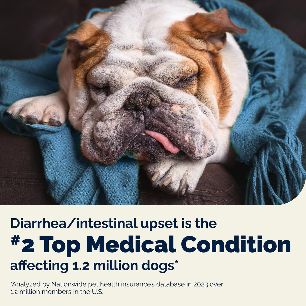 Vetnique Glandex Daily Probiotics for Dogs with Prebiotics to Support Gut Health with Fiber and Digestive Enzymes, Probiotic Chews or Powders (60ct Chews, Bacon Chews)