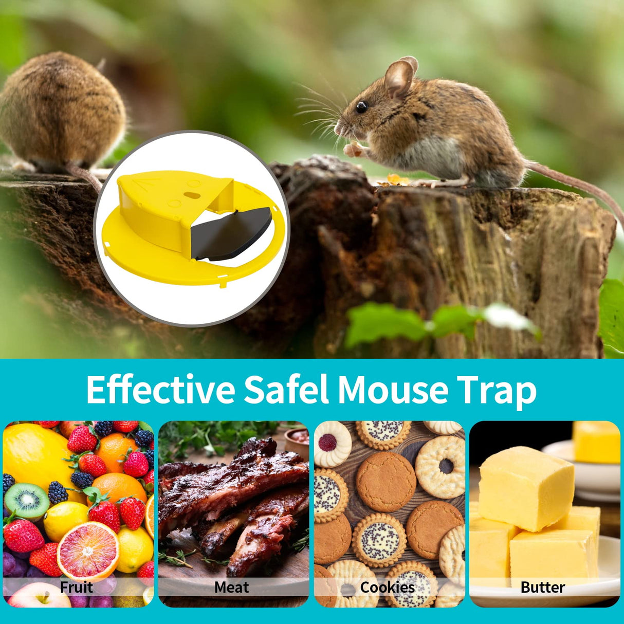 Bucket Mouse mice Rat Trap,Turnover & Slide Mouse mice Traps, Auto Reset, Indoor Outdoor Compatible 5 Gallon Bucket(2 Pack)