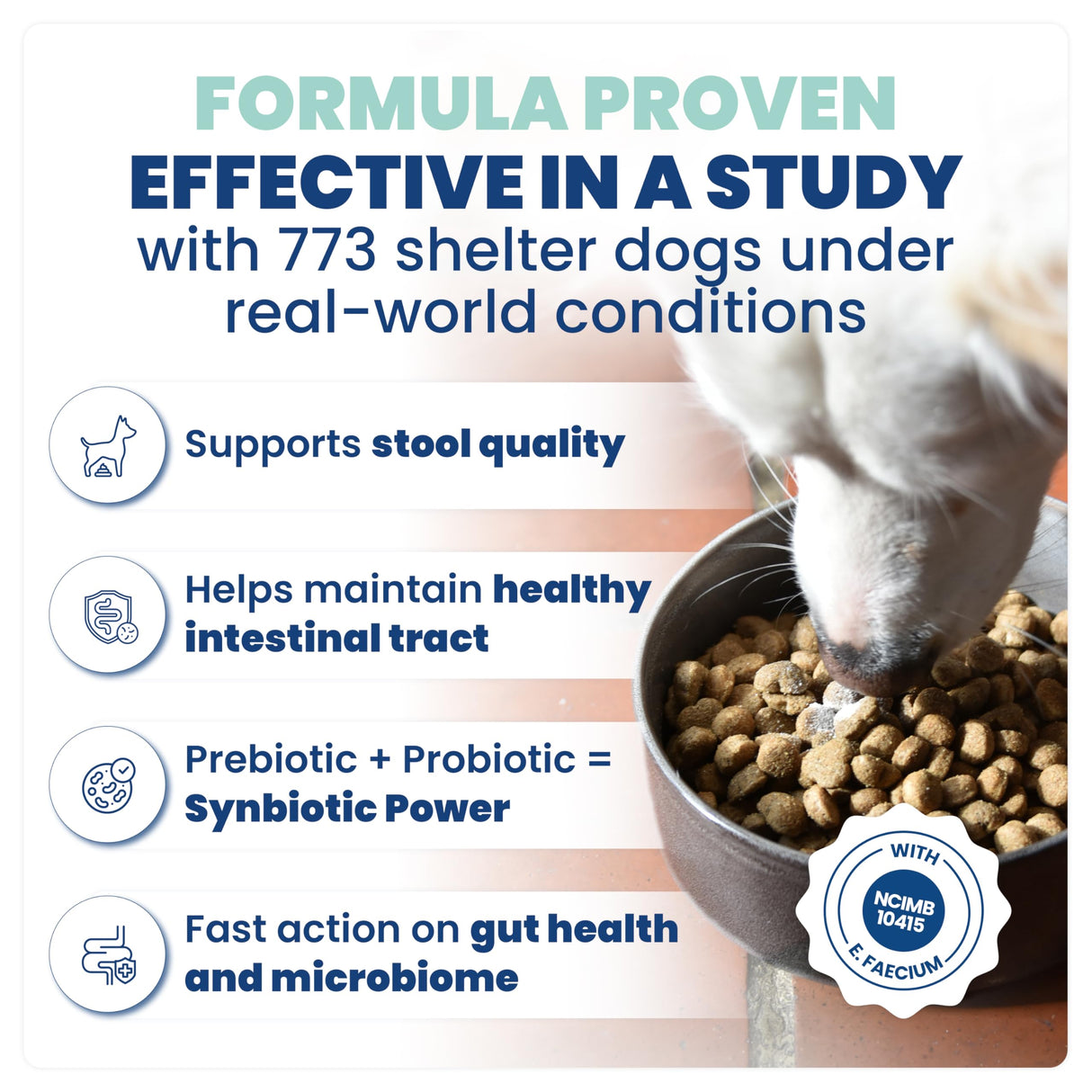 Jope Synbiotic GB-01® - Prebiotics and Probiotics for Dogs & Cats - Clinically Proven Formula - Vet Formulated for Gut Health, Stool Quality, Diarrhea, Immunity, Skin & Coat - 30 Gut Powder Capsules