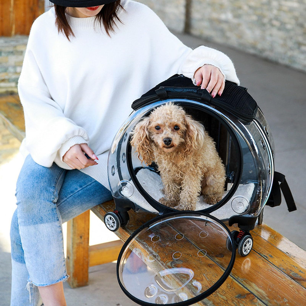 Fukursul Cat Carrier with Silent Wheels Telescopic Handle, Pet Trolley Backpack,Pet Carrier for Cat, Pet Strollers for Small Dogs, Portable Cats Dogs Travel Backpack, Pet Rolling Carrier Black