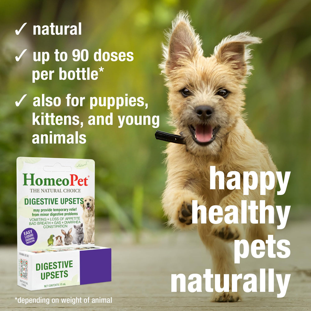 HomeoPet Digestive Upsets, Safe, Gentle, and Natural Cat and Dog Digestive Support, 15 Milliliters