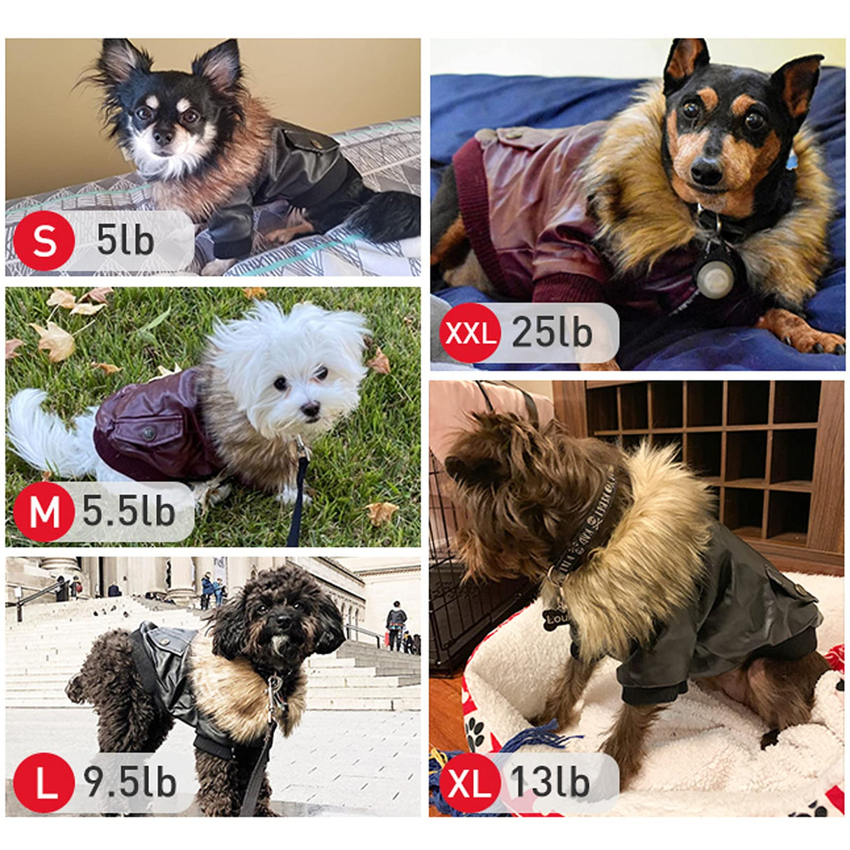 LESYPET Dog Leather Jacket for Small Dogs, Waterproof Dog Winter Jacket Puppy Coat with Fleece Lined, Ultra Warm Fur Collar Doggie Coat, Red L