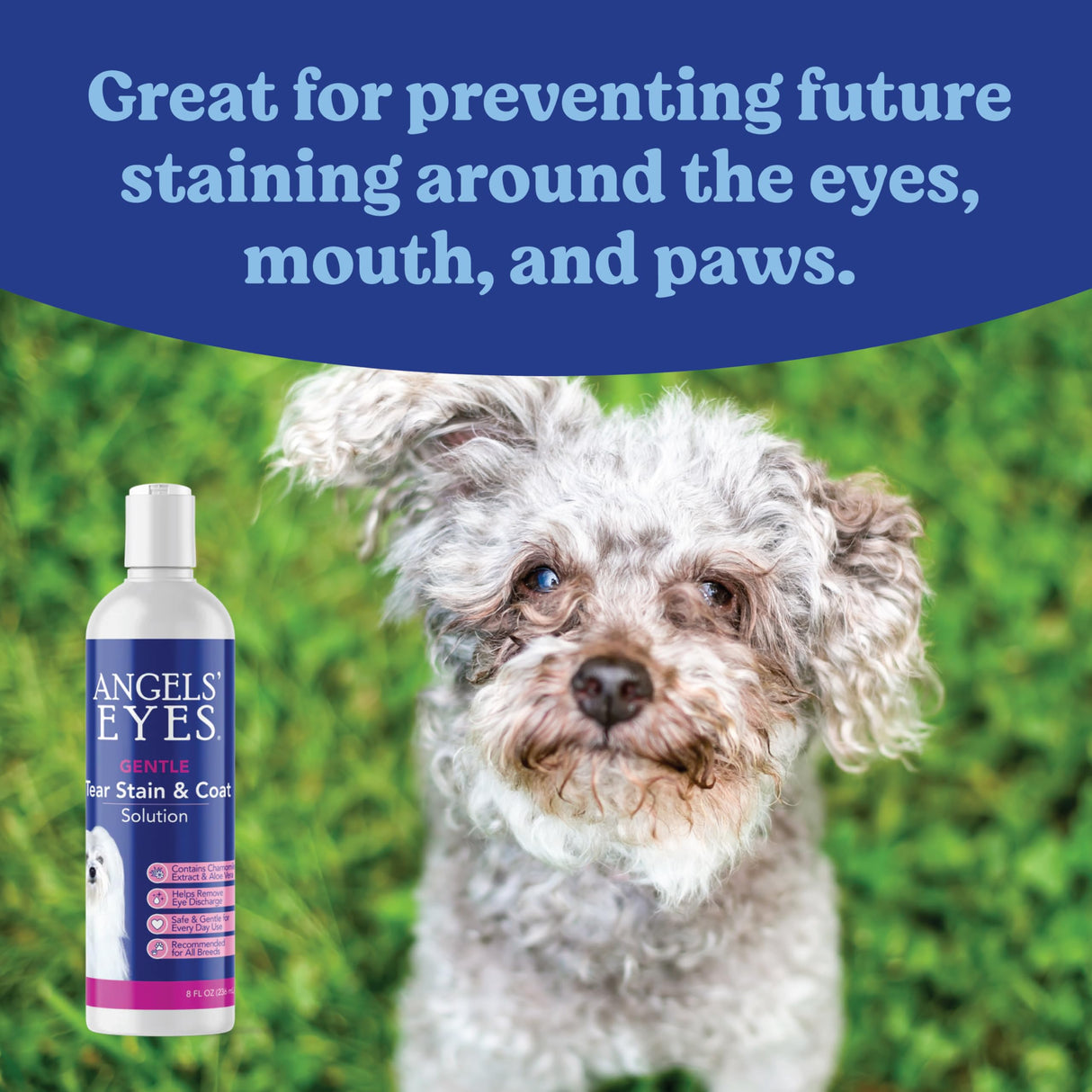 ANGELS' EYES Gentle Tear Stain Solution for Dogs and Cats | 8 oz Solution for Eye Area and Face | Remove Discharge, Dirt, Tear Stains, and Mucus