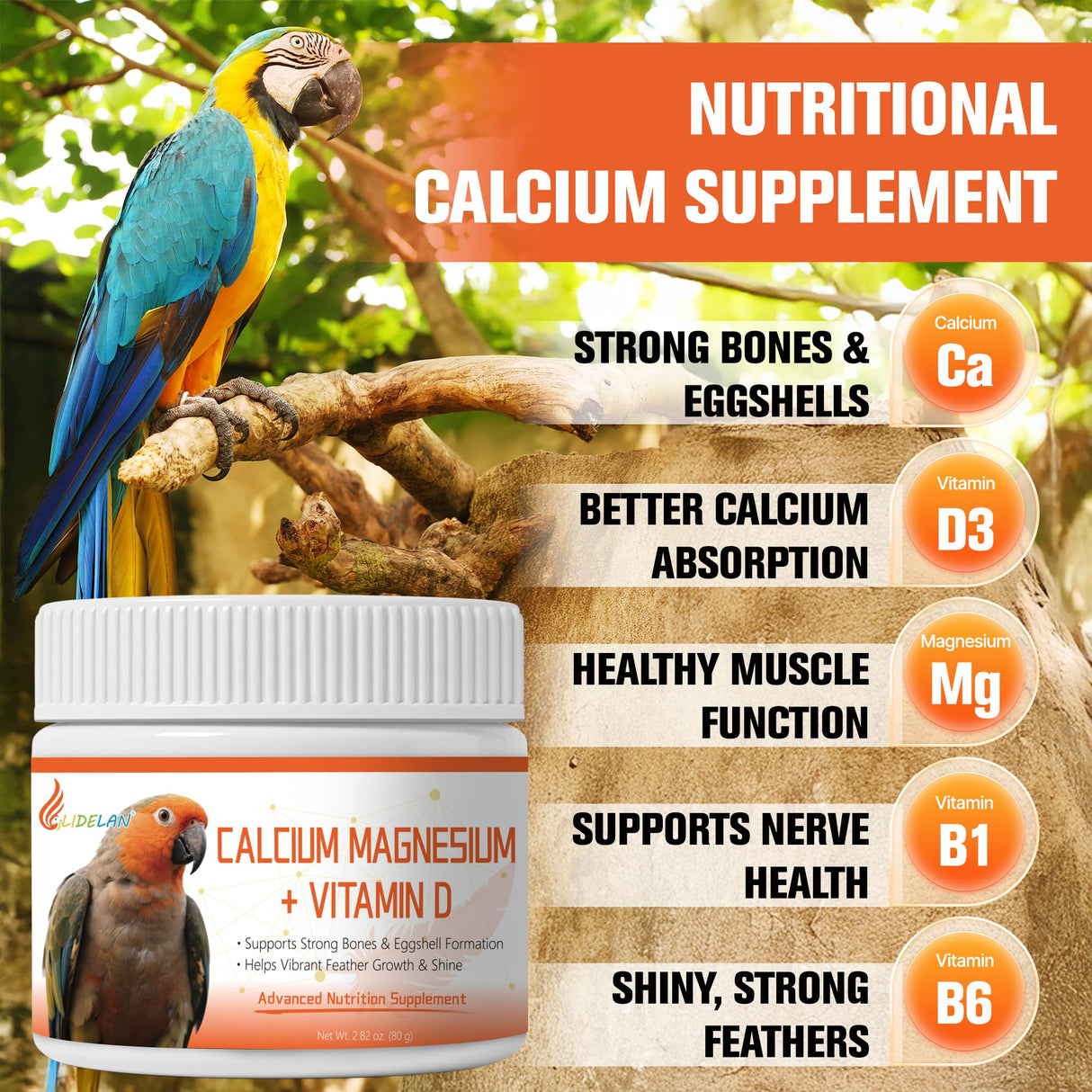 Calcium for Birds with Magnesium & Vitamins D3–Vet-Developed Formula for Parrots, Supports Strong Bones, Eggshell Health,Feather Growth,Muscle & Nerve Function,Dissolves Tasteless in Water,80 Servings