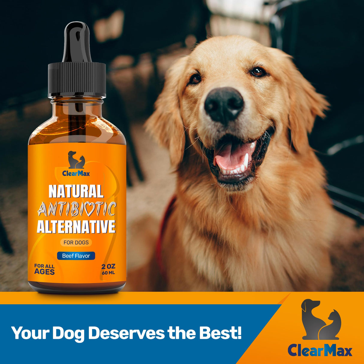 Natural Antibiotics for Dogs for Allergies, Infections, Coughs, Digestive Moments β Dog Antibiotics with Beef Flavor May Support Urination and Breathing β Organic Composition with Cranberry β 2 Oz