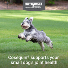 Load image into Gallery viewer, Nutramax Laboratories Cosequin Plus MSM & Boswellia Mini Sized Soft Chews