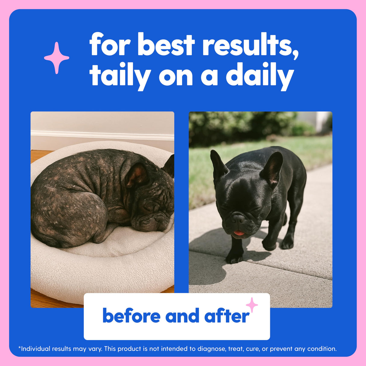 Taily Collagen for Dogs Skin and Coat Supplement, Cats | Taily Liquid Premium Grass-fed Collagen | Itch Relief for Dogs with Allergies, Biotin, Vitamin C and Hyaluronic Acid | Made in USA