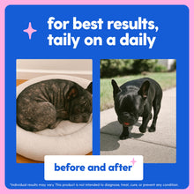 Load image into Gallery viewer, Taily Collagen for Dogs Skin and Coat Supplement, Cats | Taily Liquid Premium Grass-fed Collagen | Itch Relief for Dogs with Allergies, Biotin, Vitamin C and Hyaluronic Acid | Made in USA