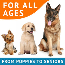 Load image into Gallery viewer, Omega 3 Fish Oil for Dogs (180 Ct) - Skin & Coat Chews - Dry & Itchy Skin Relief + Allergy Support - Shiny Coats - EPA&DHA Fatty Acids - Natural Salmon Oil Chews Promotes Heart, Hip & Joint Support