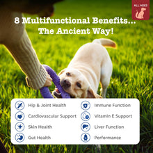 Load image into Gallery viewer, Zesty Paws Dog Multivitamin, Chewable Dog Vitamins and Supplements for Hip & Joints, Skin & Coat, Omega 3 Fish Oil for Dogs- Senior & Puppy Multivitamin - Bison- 90ct
