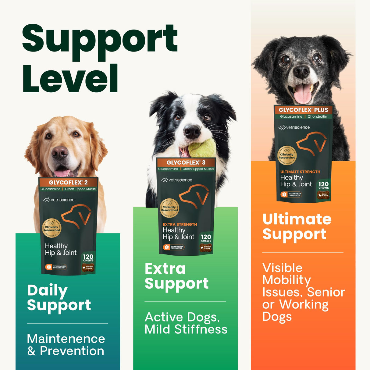 VetriScience Healthy Hip & Joint Chews, GlycoFlex Glucosamine and Green-Lipped Mussel Joint Support Supplement for Dogs, Promote Mobility and Protect Joints, Chicken, 120 Count