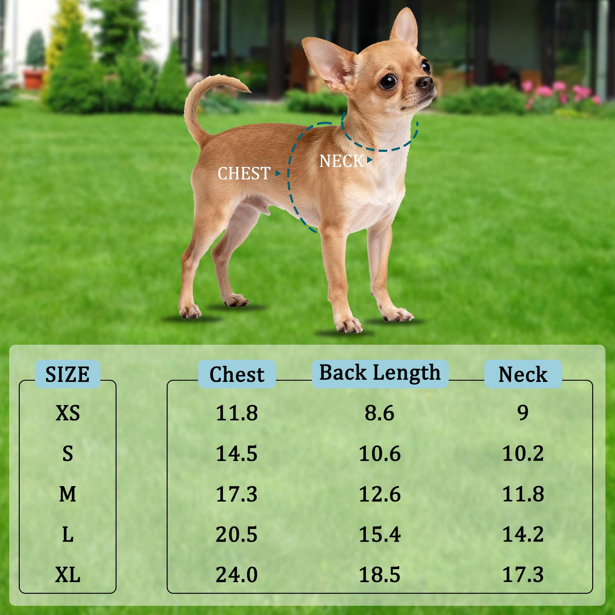 Mile High Life Dog Warm Coat, Small Dog Winter Jacket Windproof Water Resistant Cold Weather Coats Cozy Snow Jacket Vest for Puppies (Blue, X-Small Chest 11.8")