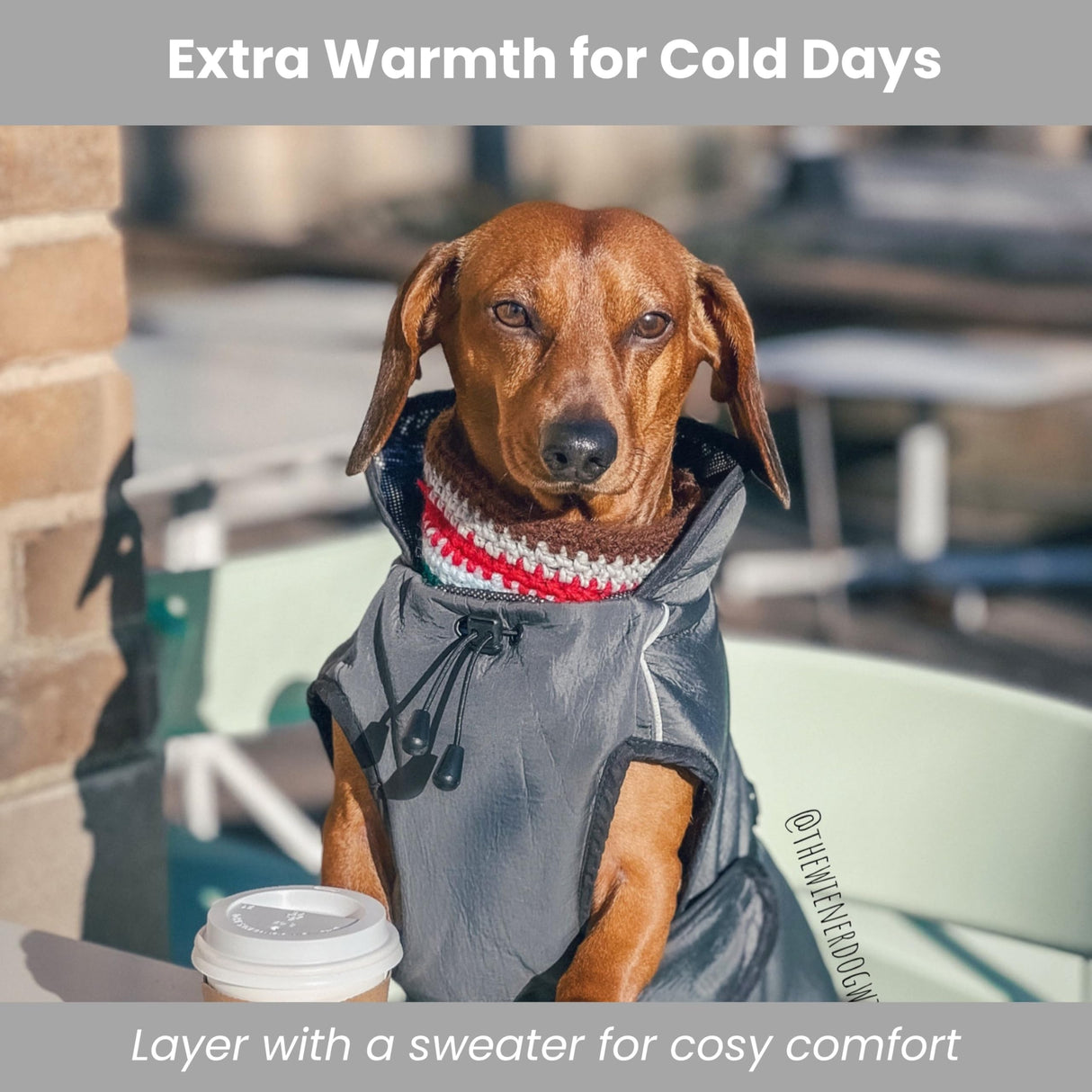 Lucolove Self-Heating Thermal Insulated Dog Coat - Waterproof Winter Jacket for Small, Medium, Large Dogs - Lightweight Non-Bulky Fit, Easy On/Off Clip, Hair-Free Lining (2XL)