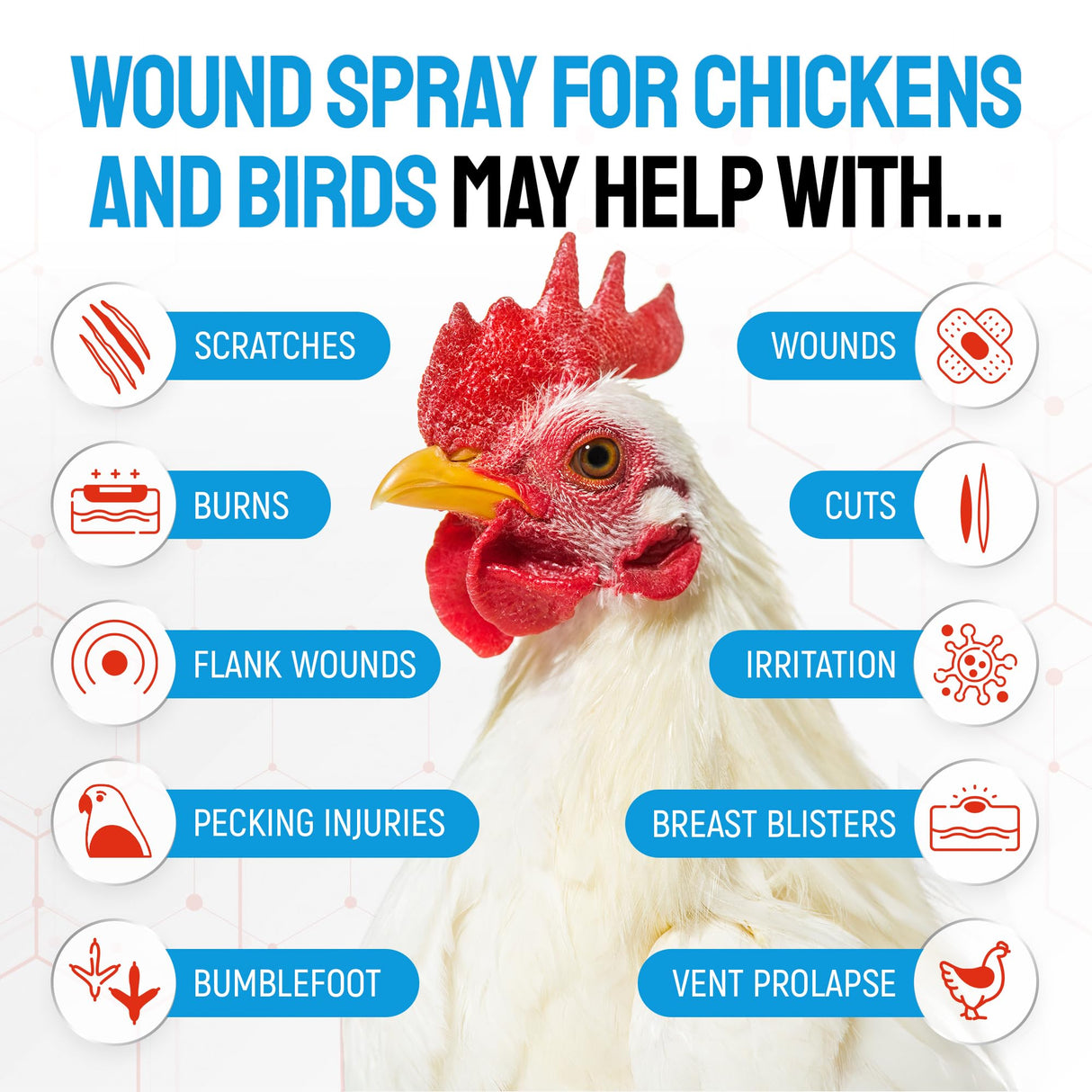 SILVER GRADE Wound Spray for Chicken from Birds & Chicken Antibiotics Alternative to Help with Pecking Sores, Bumblefoot, Cuts – Poultry Spray with Silver – GMOs Free – 4-Oz Bottle