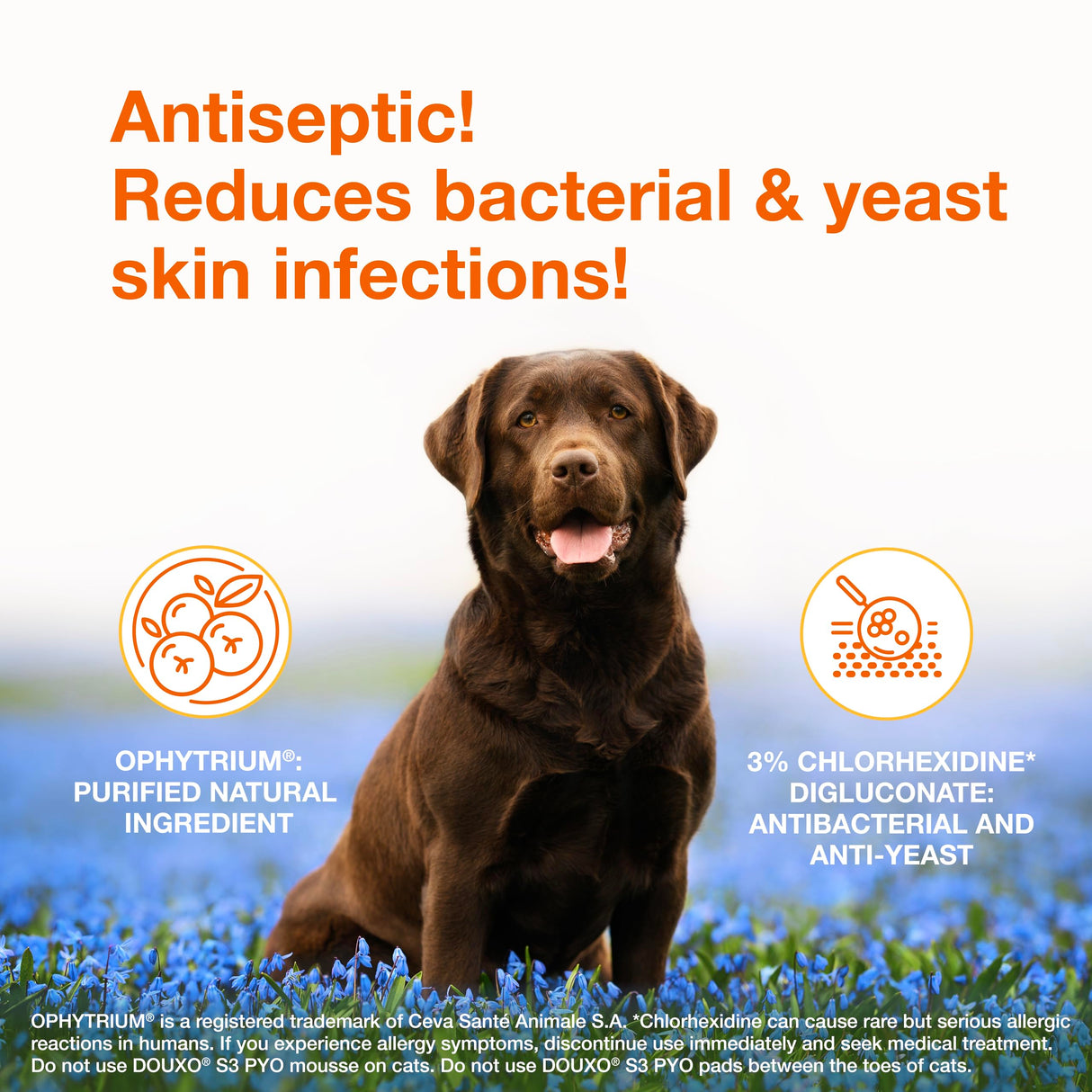 Douxo S3 Pyo Pads, Contains 3% Chlorhexidine & 0.5% Ophytrium, Antiseptic & Hydrating, For Bacterial or Yeast Skin Infections, For Dogs and Cats, 30 Pads