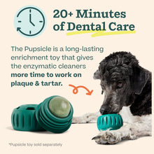 Load image into Gallery viewer, Woof Doggy Dental Pupsicle Mix - Dog Teeth Cleaning Powder for The Pupsicle - Long Lasting Postbiotic Dental Enzyme Mix to Support Oral Health for Dogs