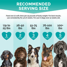 Load image into Gallery viewer, PREMIUM CARE Calming Chews for Dogs, Made in USA - Helps with Dog Anxiety, Separation, Barking, Stress Relief, Thunderstorms and More, 9.3 oz (264g), 120 Count