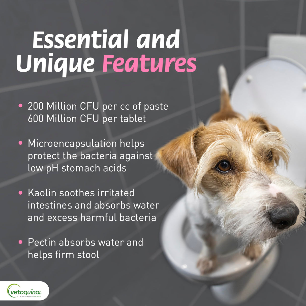 Pro-Pectalin Oral Paste for Dogs & Cats, Helps Relieve Occasional Diarrhea in Cats and Dogs, Situational Diarrhea Relief with Kaolin and Pectin, Contains Beneficial Probiotic Bacteria, 30cc