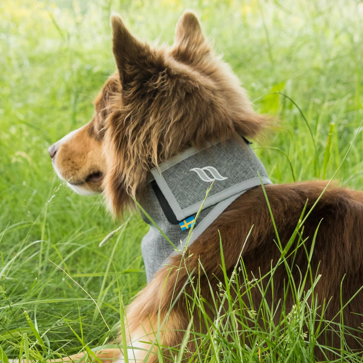 Back on Track Draco High Visibility Reflective Bandana for Active Dogs - Safety and Comfort on Every Adventure, Grey - S