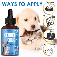 Load image into Gallery viewer, Dog Cough Treatment Liquid • Kennel Cough Medicine for Dogs & Cats • For Breathing During All Life Cycle • Marshmallow Root + Mullein Leaf in the Composition • Natural Supplement for All Breeds • 2 Oz