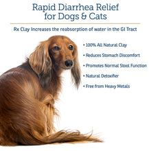 Load image into Gallery viewer, Rx Vitamins Rx Edible Clay Powder - Anti Diarrhea for Dogs & Cats and Promotes Gas Relief for Dogs - Aids in Cat Digestive Support and Dog Constipation Relief - 3.52 oz