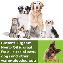 Load image into Gallery viewer, Buster's Organic Hemp Oil Large 60 Milliliters 2Pack 4Month Supply for Dogs Cats, Made in USA Omega Rich 3 6 and 9 Hip and Joint Health, Natural Relief, Calming