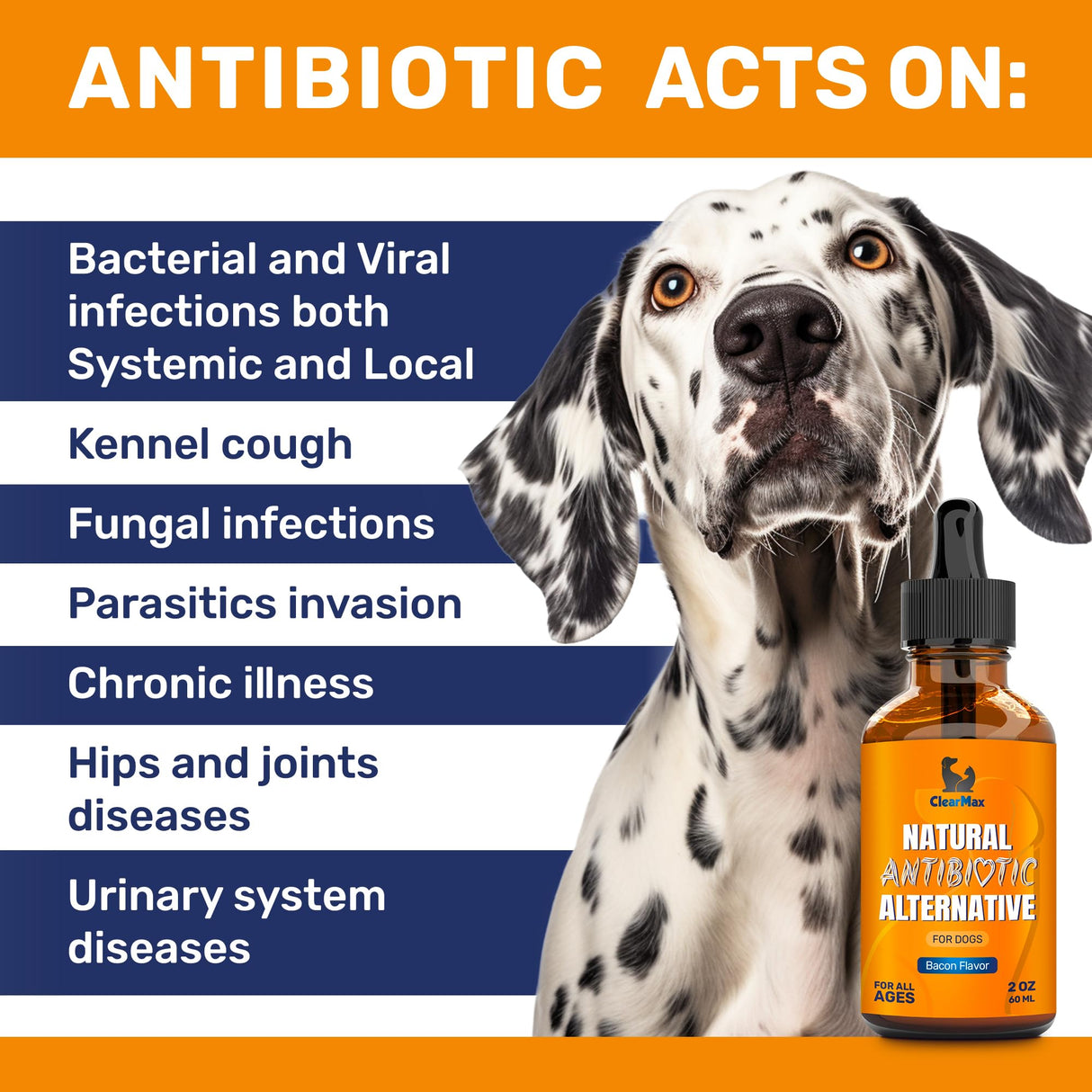 Dog Antibiotics for Infections, Allergies, Coughs β Natural Antibiotics for Dogs with Cranberry Provide Urination & Digestion Care β Natural Ingredients + Bacon Flavor β 2 Oz