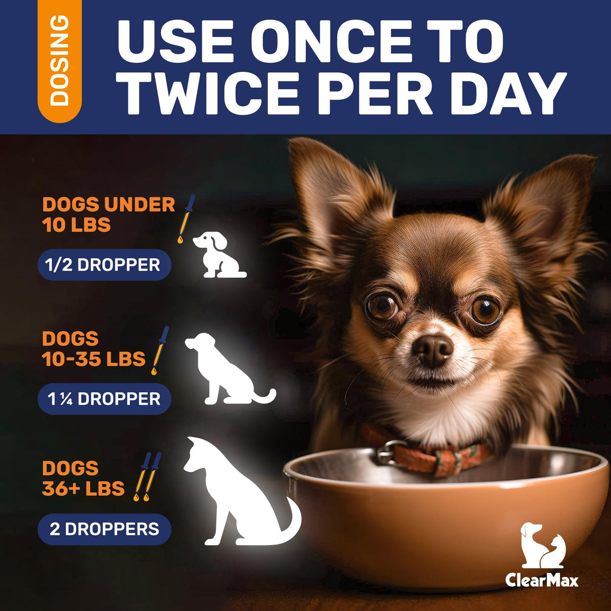 Dog Antibiotics for Infections, Allergies, Coughs β Natural Antibiotics for Dogs with Cranberry Provide Urination & Digestion Care β Natural Ingredients + Bacon Flavor β 2 Oz