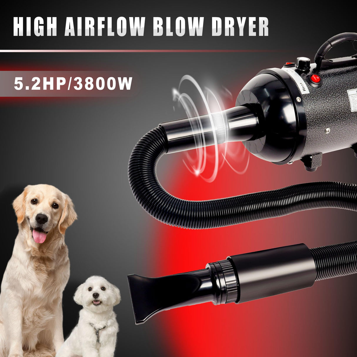 MCCKLE Dog Hair Dryer High Velocity Professional Dog Blow Dryer with Adjustable Speed Dog Pet Grooming Dryer Blower with 4 Nozzle 2 Blow Temperature(Black)
