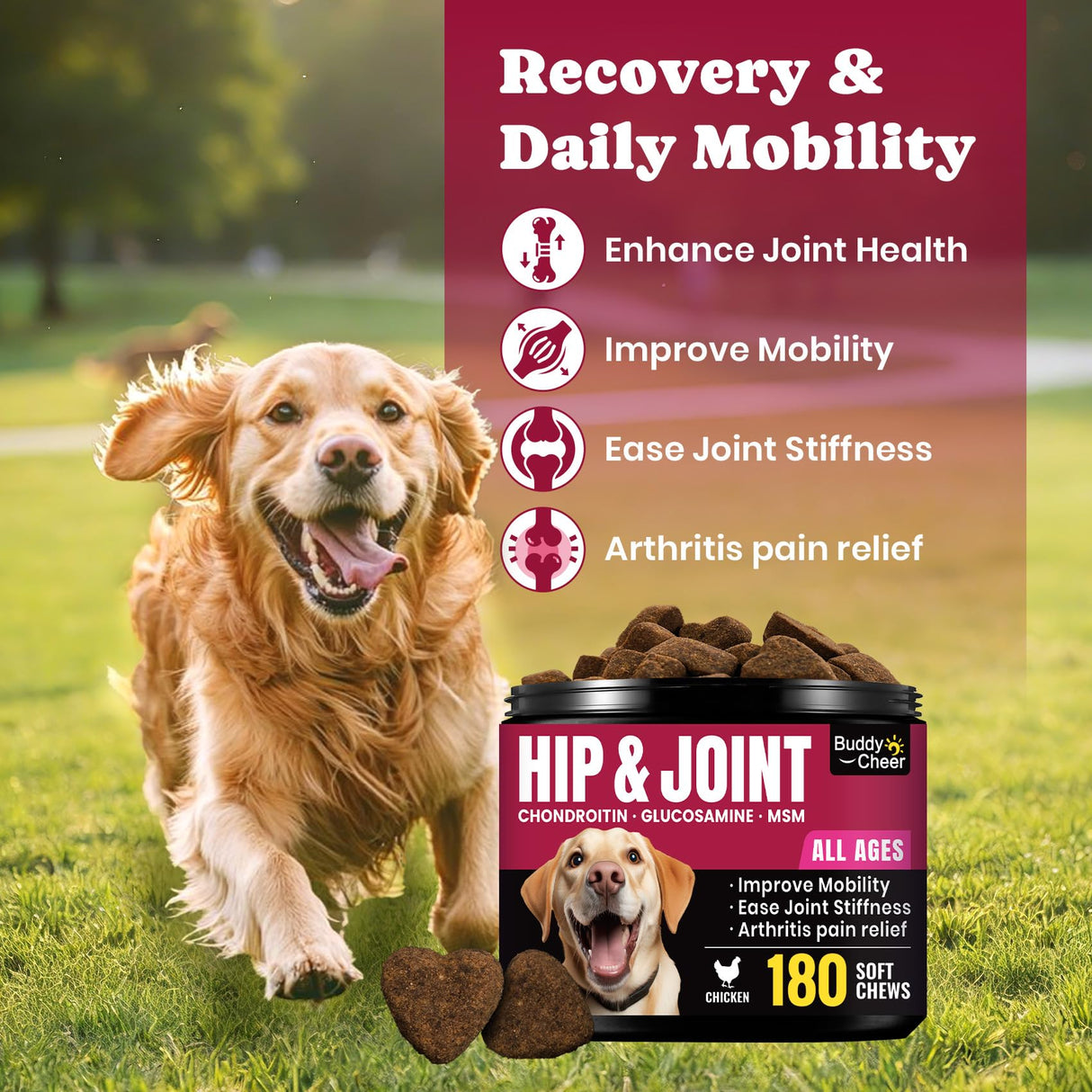 Glucosamine for Dogs - Hip and Joint Supplement Chews for Senior & Large Breed, Joint Supplement for Dogs with Chondroitin, Wuffe Joint Chews for Pain Relief - 60-Day Satisfaction Guarantee - 180 Ct
