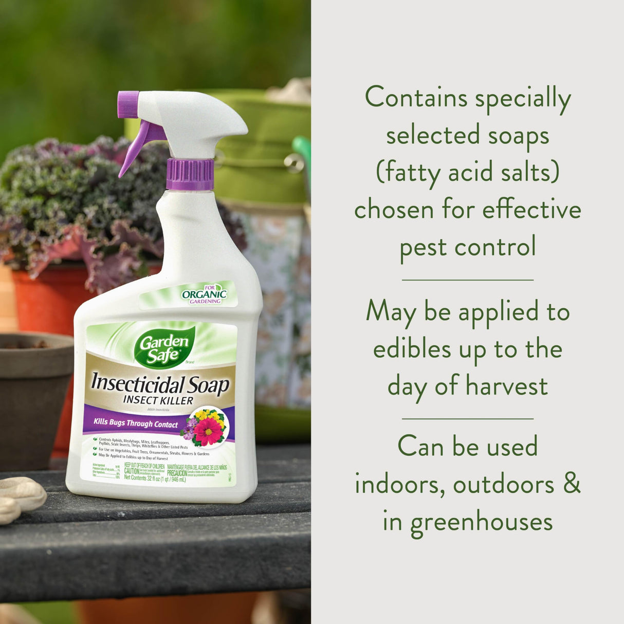 Garden Safe Brand Insecticidal Soap Insect Killer, 32 Fluid Ounces, For Organic Gardening, Kills Bugs Through Contact