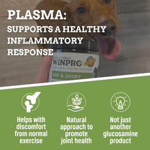 Load image into Gallery viewer, WINPRO Hip & Joint Supplement for Dogs - Plasma Powered Soft Chews for Joint Health & Mobility – Fast-Acting with Collagen & Natural Ingredients for Dogs of All Breeds – 60 Chews