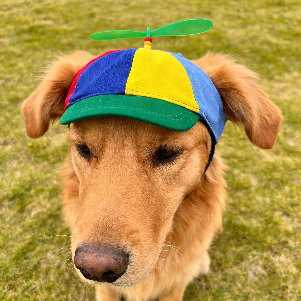 Funny Pet Baseball Hat with Propeller, Cute Adjustable Sun Protection Rainbow Helicopter Hat for Dog & Cat