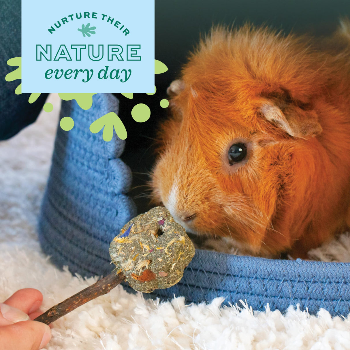 Oxbow Enriched Life Timothy Party Pack – Rabbit and Guinea Pig Toys, Chinchilla and Hamster Enrichment, Small Pet Accessories for Cages, Bunny Chew Toys Made with Timothy Hay, 6 Piece Variety Set