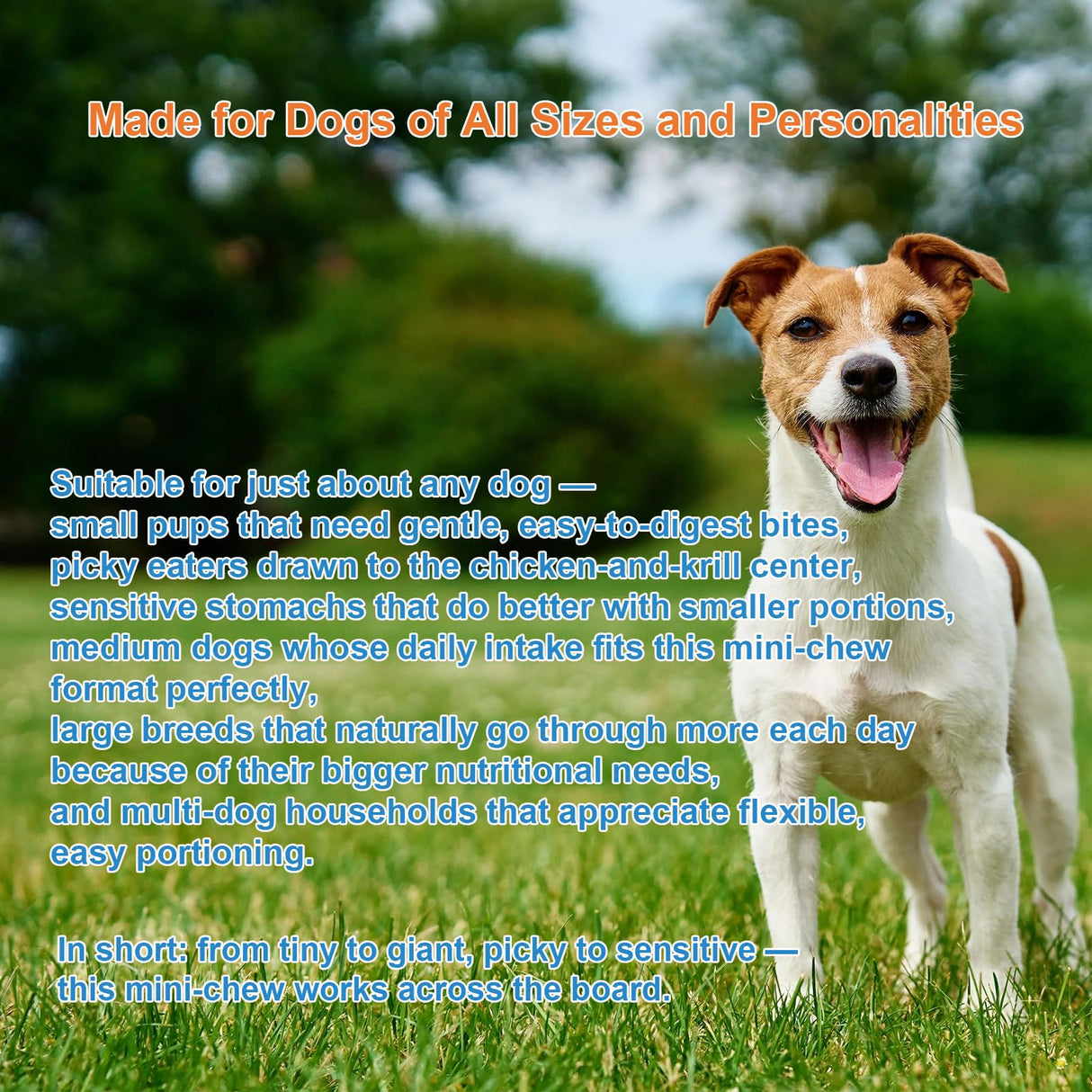 Dog Allergy Relief Chews, Dog Itching Skin Relief, 500 Crunchy Krill Center Seasonal Allergy Anti-Itch Chews, Itchy Ear & Paw Licking, Colostrum, Quercetin & Probiotics for Gut, Immune, Skin & Coat