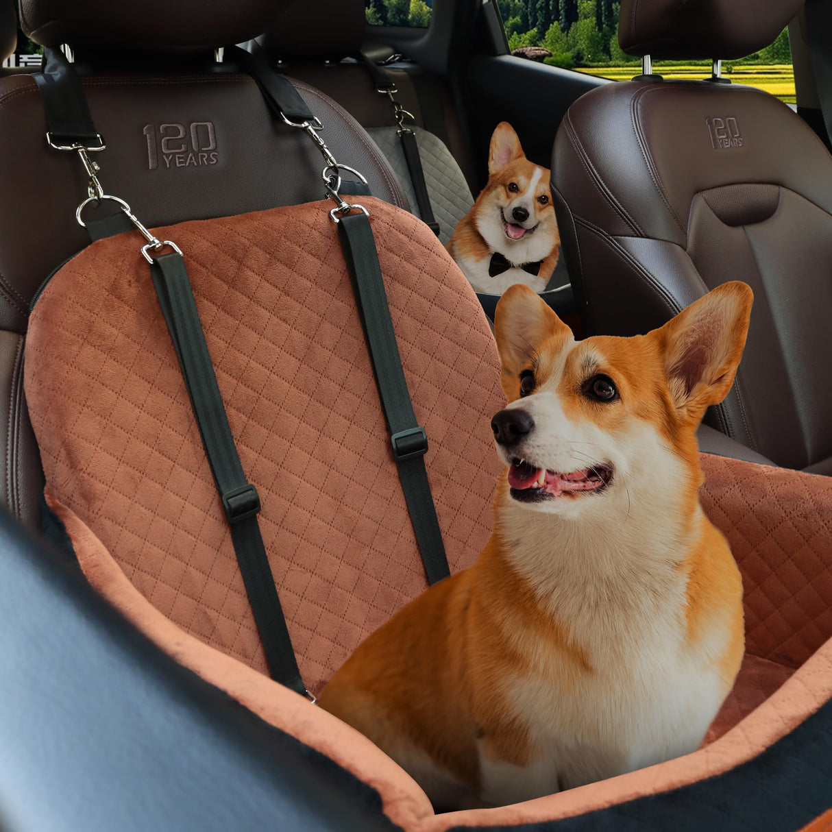 VERGODPRO Car Dog Seat,Pet Booster Carseats for Dogs up to 25lbs,Safe and Comfy Puppy Travel Car Bed with Storage Pockets and 2 Safety Belt,Ultra Soft Fabric, Easy to Install,Fully Removable Washable.