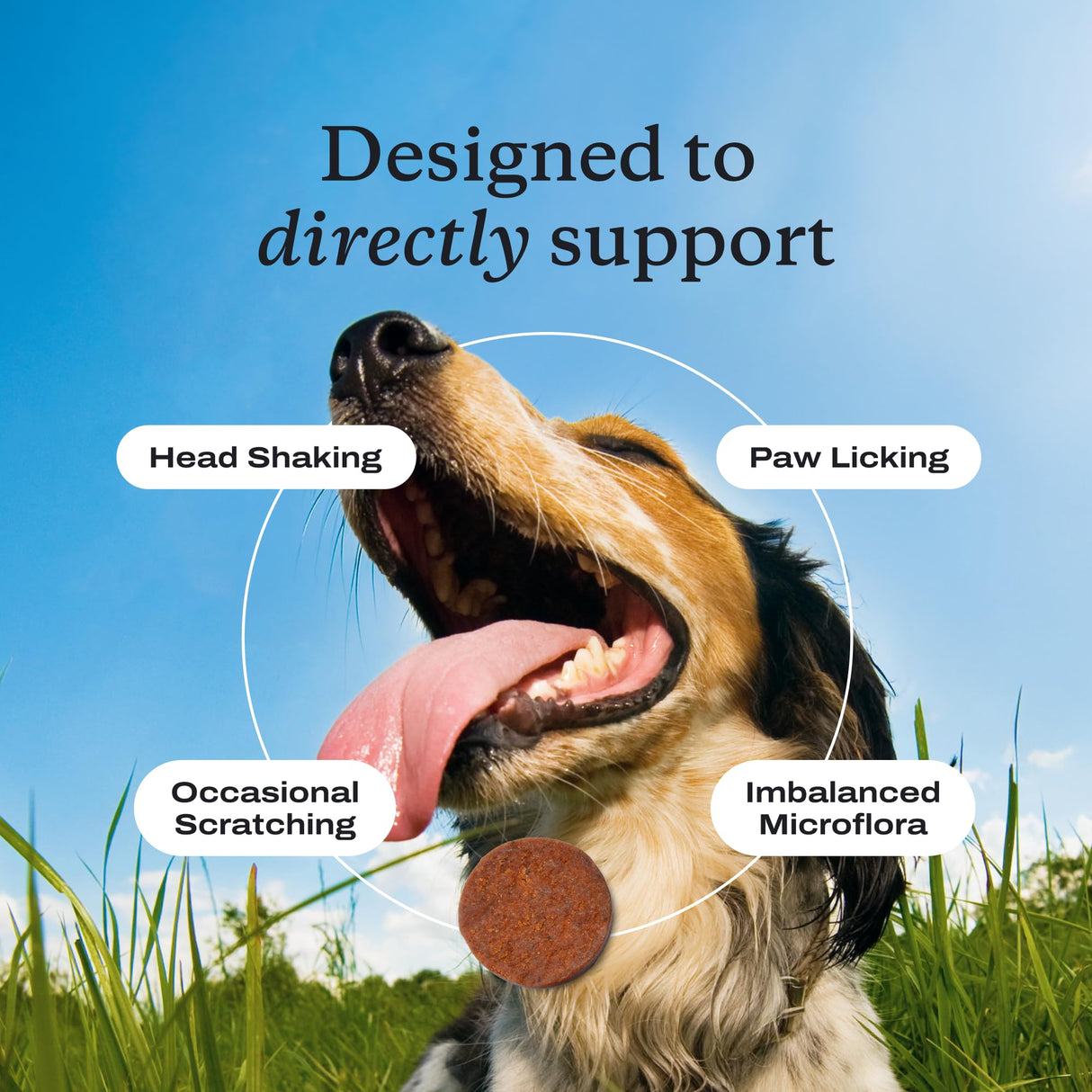 PetLab Co. Allergy & Immune Probiotics for Dogs, Support Seasonal Allergies, Gut & Digestive Health - Pork Flavor - 30 Soft Chews - Packaging May Vary