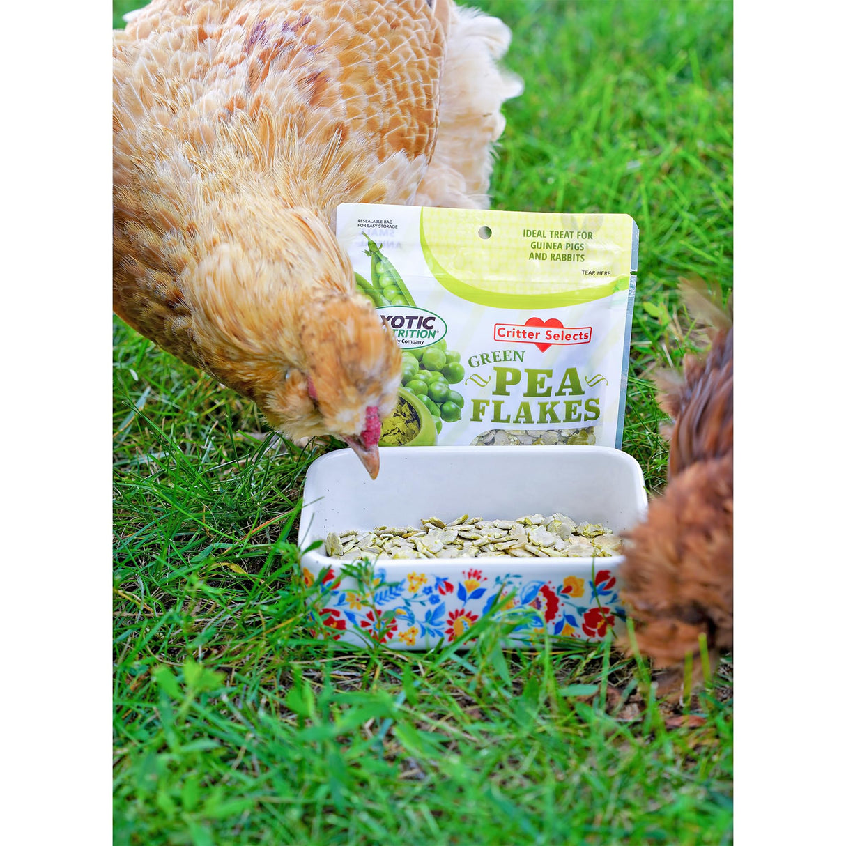 Exotic Nutrition Green Pea Flakes (1 lb.) - Healthy Natural Dried Vegetable Treat - for Rabbits, Guinea Pigs, Hamsters, Chinchillas & Other Small Pets