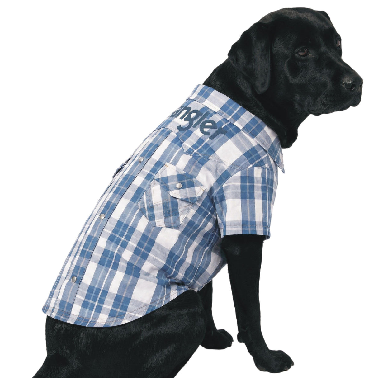 Wrangler Plaid Dog Shirt with Snap Pockets – Western Button Up Dog Clothes, Breathable Collared Dog Tee for Pets - Large Blue
