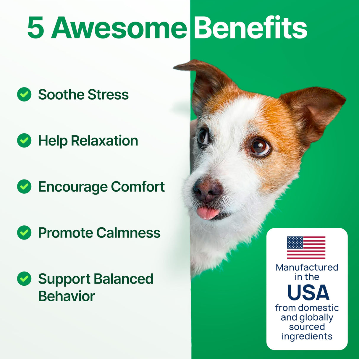 ZOOMEZEN Hemp Calming Chews for Dogs Anxiety – Dog Calming Chews for Puppies & Adults – Stress, Sleep Aid & Dog Anxiety Relief Treats with Melatonin & Valerian – 1 Pack, 170 Count, Made in USA
