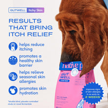 Load image into Gallery viewer, GutWell Itchy Skin - Dog Itching Skin Relief & Seasonal Allergy Itch Relief for Dogs - Promotes Skin Hydration, Elasticity & Healthy Barrier with Triple-biotic Blend, Zinc, & Vitamin E - 60 Scoops