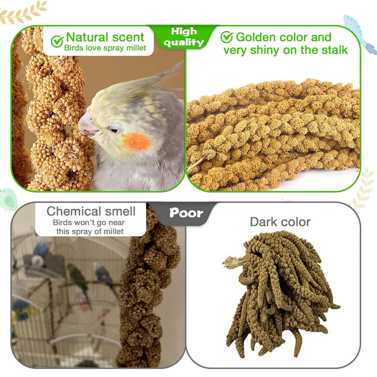 Millet for Birds 1.2LB, Natural Sun-Dried Spray Seed No Stems Only Edible Tops for Parakeet, Budgies, Finches, Cockatiels, Parrots, Lovebird, Hamster and Other Pets Treat