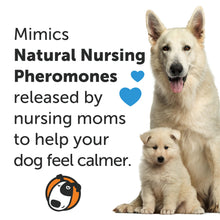 Load image into Gallery viewer, ThunderEase Dog Calming Pheromone Spray | Powered by ADAPTIL | Reduce Anxiety During Travel, Vet Visits and Boarding