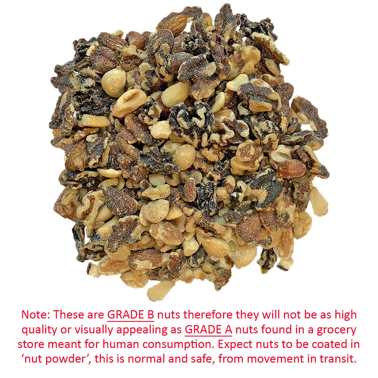 Exotic Nutrition Premium Nut Mix - Unroasted, Unsalted Walnuts, Hazelnuts, Almonds - Food & Treat for Squirrels, Parrots & Other Small Pets (5 lb.)